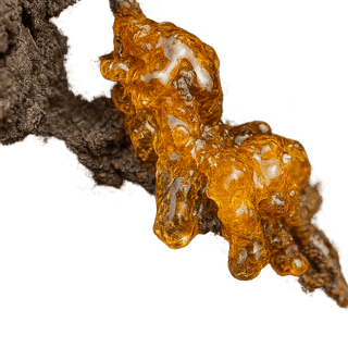 خشب العنبر