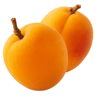المشمش