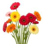Floral Notes