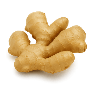 Ginger