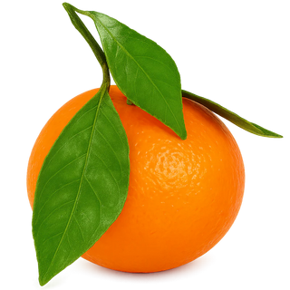 Italian Mandarin