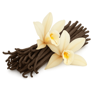 Madagascar Vanilla