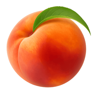 الدراق