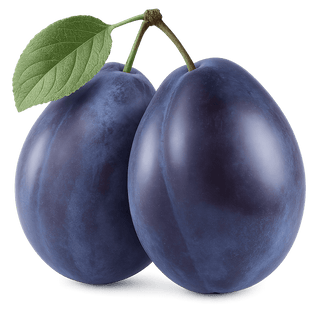 البرقوق