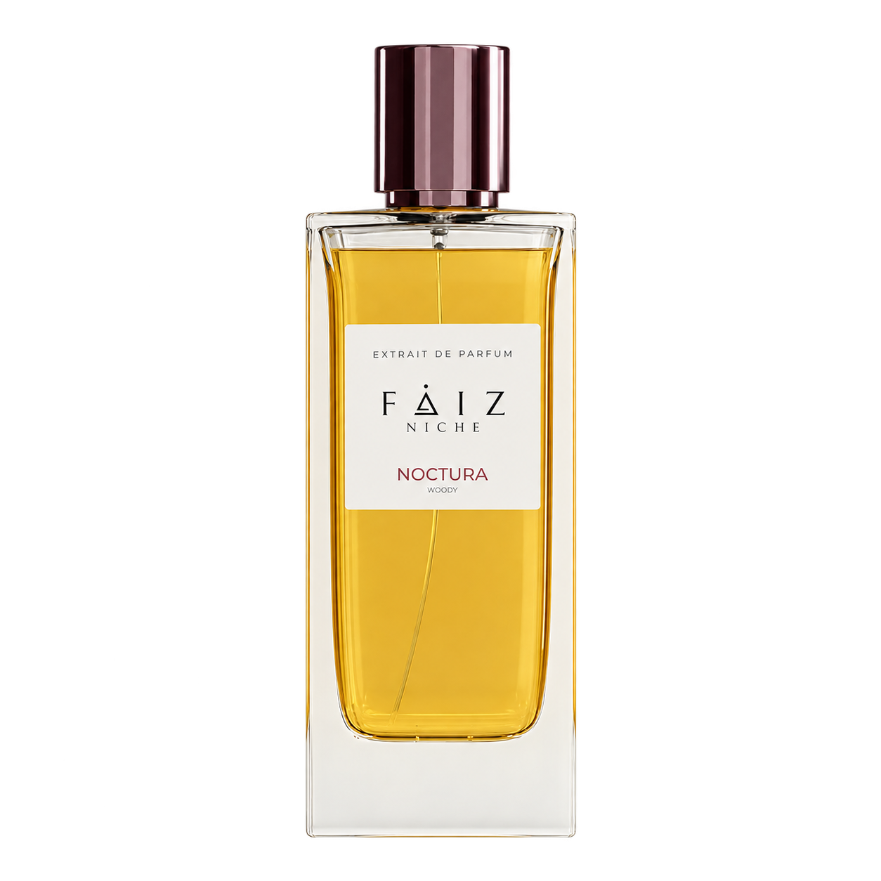 Noctura Woody Extrait De Parfum Unisex 160ML