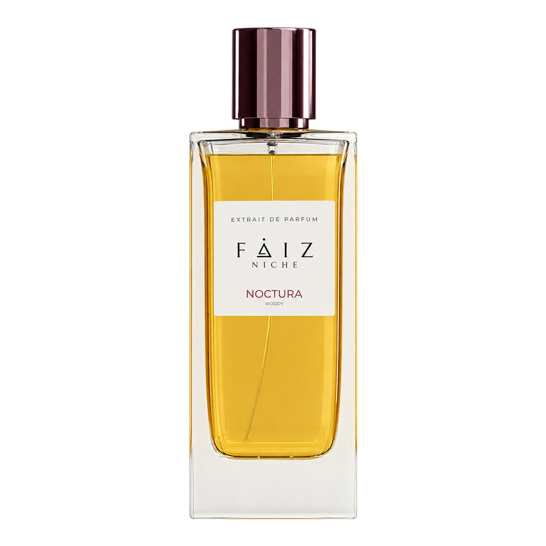Noctura Woody Extrait De Parfum Unisex 160ML