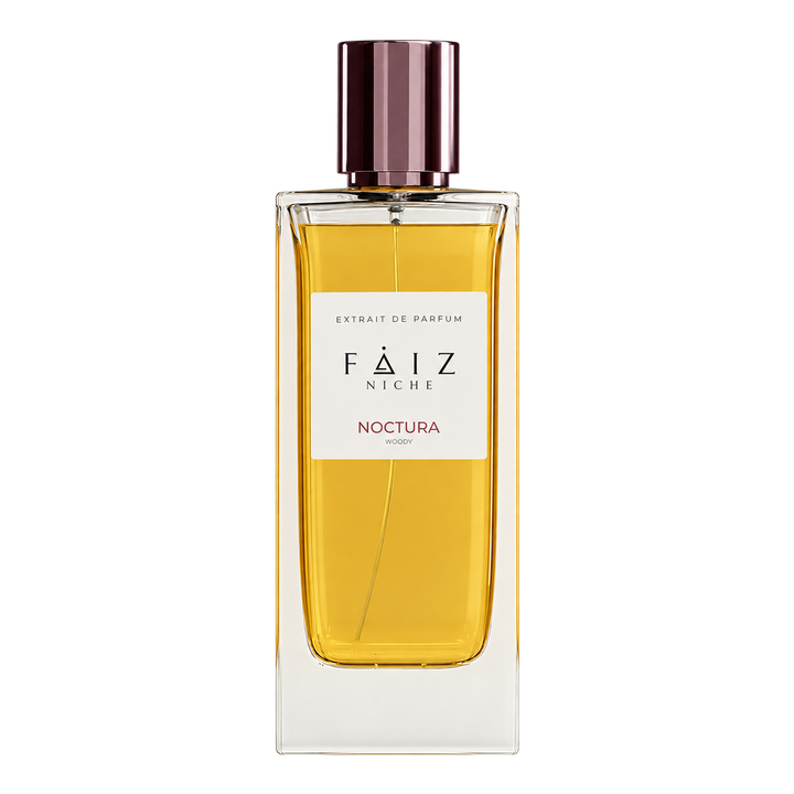 Noctura Woody Extrait De Parfum Unisex 160ML