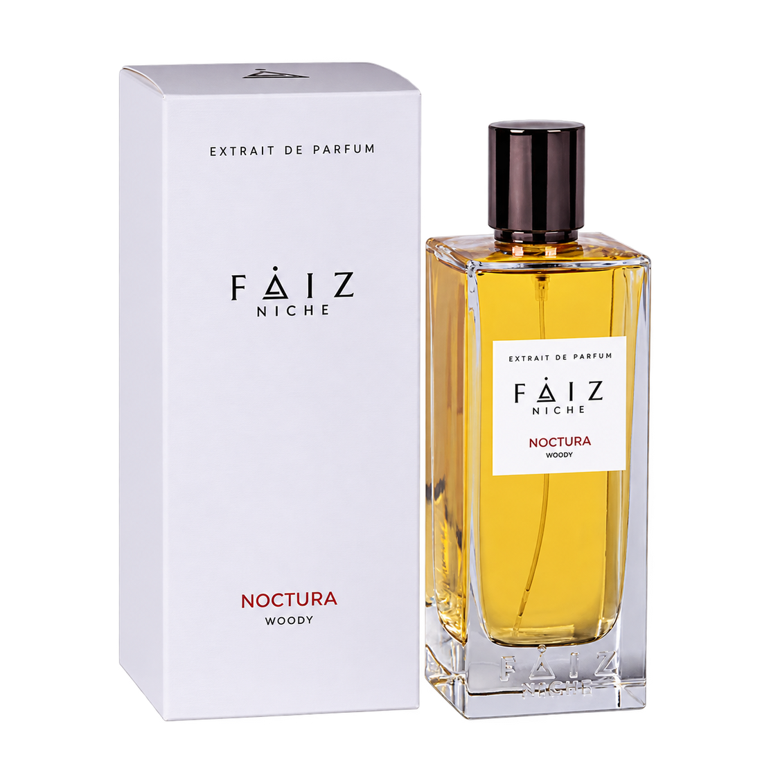 Noctura Woody Extrait De Parfum Unisex 160ML